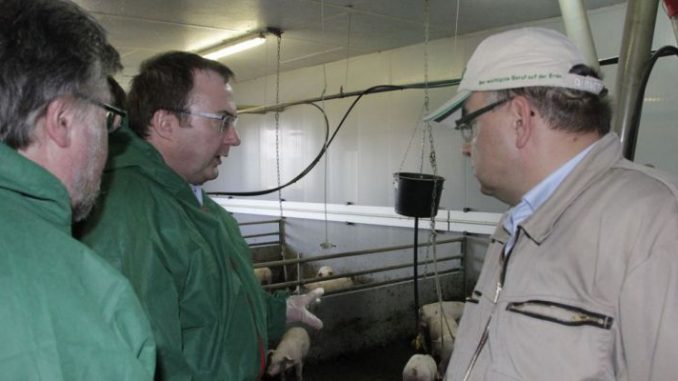 Gutachten löst starke Betroffenheit aus - Mitglieder des Kompetenzkreises Tierwohl im Bundeslandwirtschaftsministerium besichtigten kürzlich den Sauenhaltungsbetrieb von Thorsten Riggert (rechts) im Landkreis Uelzen.