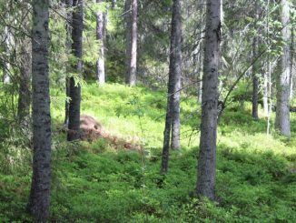 Waldbesitzer tagen in Altwarmbüchen -