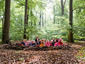 Komm wir gehen in den Wald! - Foto: Niedersächsische Landesforsten