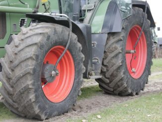 Für Landwirte ist jedes Jahr ein Jahr des Bodens - Foto: landpixel