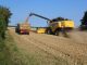 Private Getreidelagerung minimiert das Risiko -