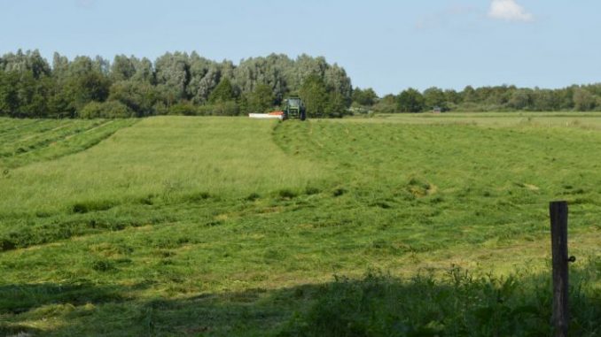 Mehr Klarheit beim Dauergrünland - Foto: Landvolk