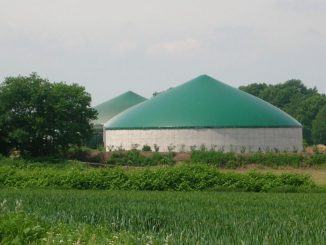 Biogasbranche trifft sich in Osnabrück - Foto: Landvolk