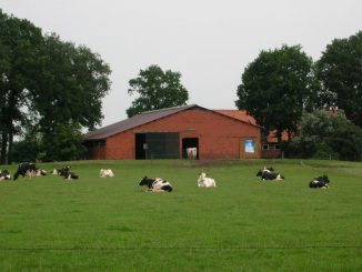 Grüne Minister verkennen Notlage der Milchbauern - Foto: Landvolk