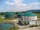 Biogasanlagen liefern ein Viertel des Ökostroms - Foto: Archiv