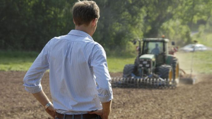 Direktzahlungen stützen Einkommen der Landwirte - Foto: Landpixel