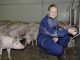 Deutsches Schweinefleisch in Asien gefragt wie nie - Foto: Landvolk