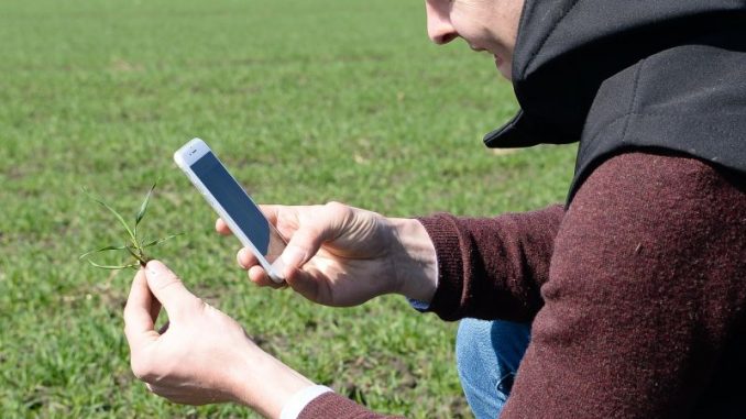 Digitalisierung der Landwirtschaft - für alle? - Foto: landpixel