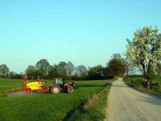 Länder sollen fünf Meter Ranstreifen fördern - Foto: landpixel