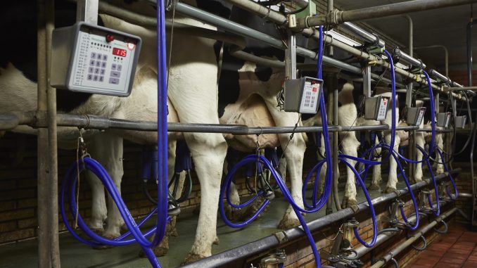 Umfage der FH Osnabrück für Milchviehhalter