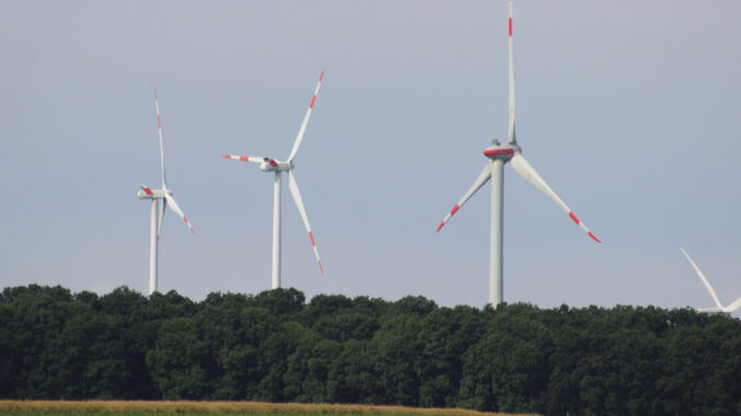 Windenergieanlagen im Wald