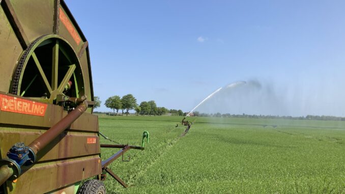 Bewässerung eines Getreidefeldes