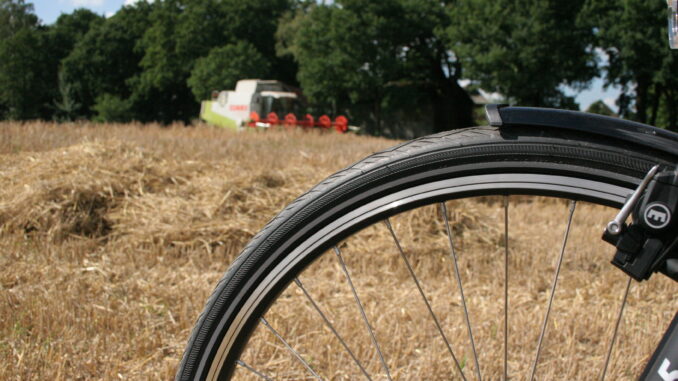 Fahrrad vor Getreidefeld