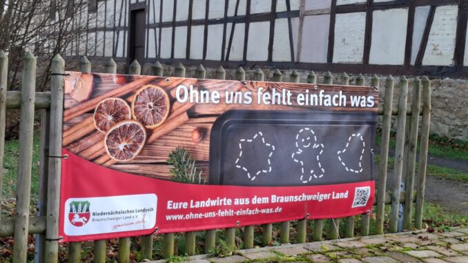 Kampagnenplakat „Ohne uns fehlt zu Weihnachten einfach was - Gans besonders an den Festtagen!“