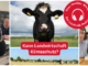 Collage für die Ankündigung des Podcasts