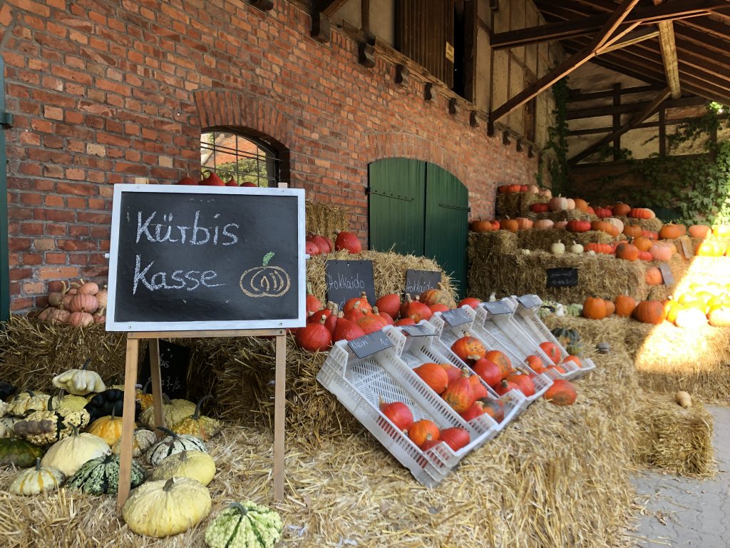 Kürbisscheune (C) Landvolk