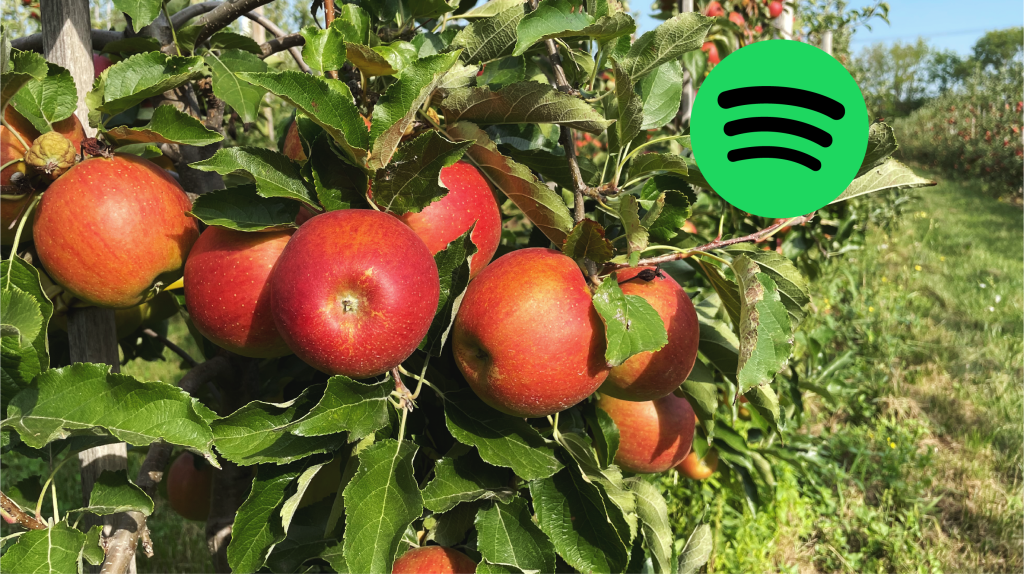 Spotify - Apfelbaum