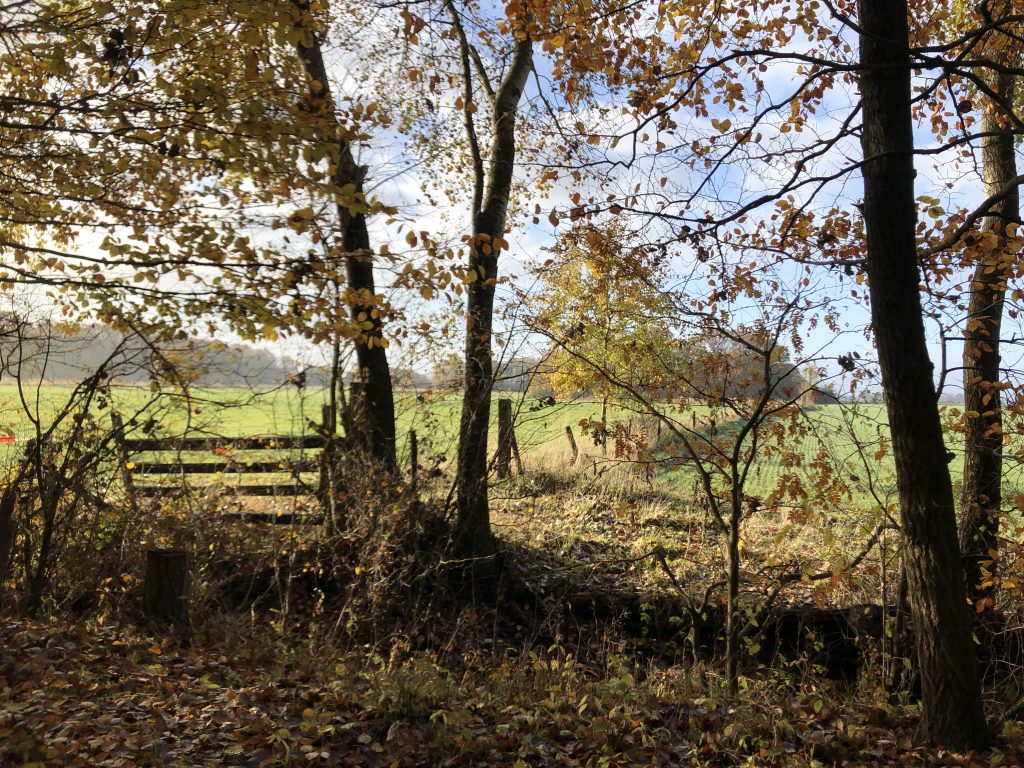 Wald und Feld